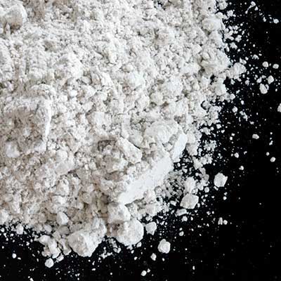 EarthPro Supplement Powder