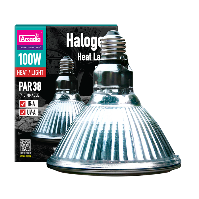 Halogen Heat Lamp 100W