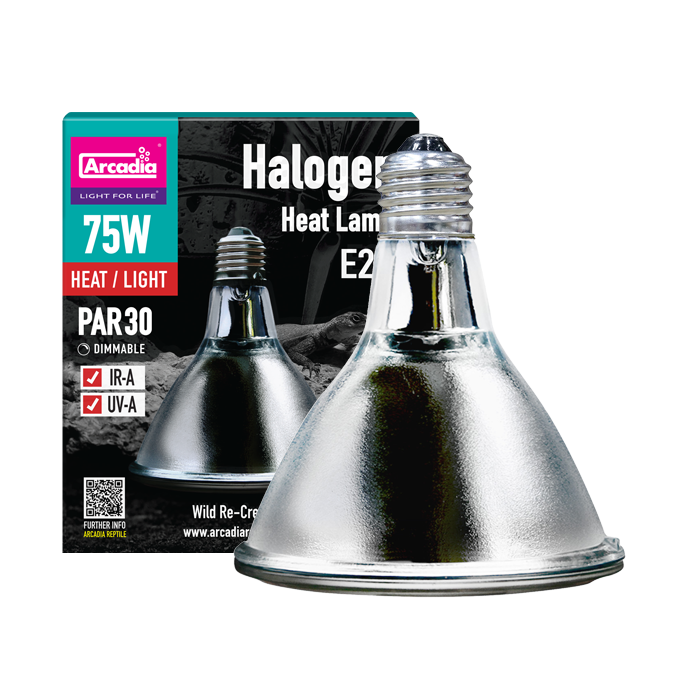 Halogen Heat Lamp 75W