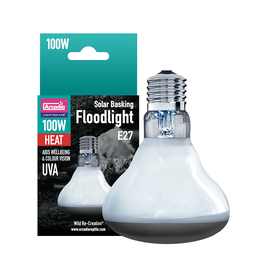 Solar Basking Floodlight 100W